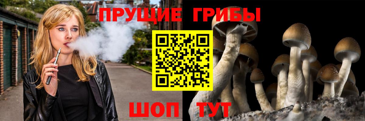 Галлюциногенные грибы мухоморы  Галлюциногенные грибы Psilocybe  Можга  Вход с VPN 